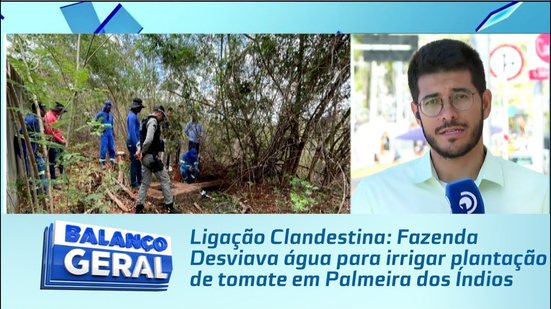 Ligação Clandestina: Fazenda Desviava água para irrigar plantação de tomate em Palmeira dos Índios