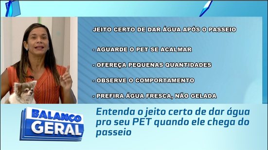 Entenda o jeito certo de dar água pro seu PET quando ele chega do passeio