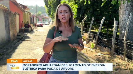 Moradores aguardam desligamento de energia elétrica para poda de árvore