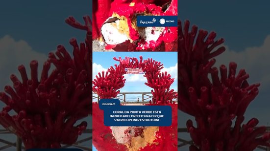 🌴 Ponta Verde: coral instagramável é danificado e Prefeitura promete conserto | #CidadeAL