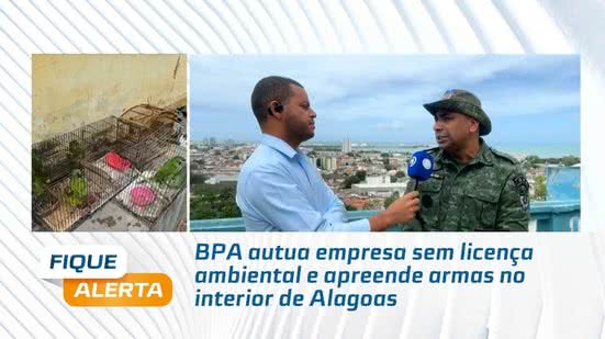 BPA autua empresa sem licença ambiental e apreende armas no interior de Alagoas