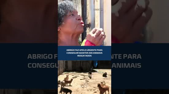 🏡 Abrigo enfrenta dificuldades e faz campanha para manter 200 animais | #CidadeAL