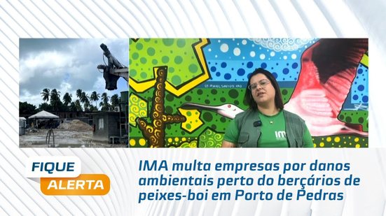 IMA multa empresas por danos ambientais perto do berçários de peixes-boi em Porto de Pedras