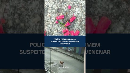Caso revolta moradores: suspeito de atacar cães com veneno está sendo procurado #CidadeAL