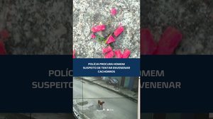 Caso revolta moradores: suspeito de atacar cães com veneno está sendo procurado #CidadeAL