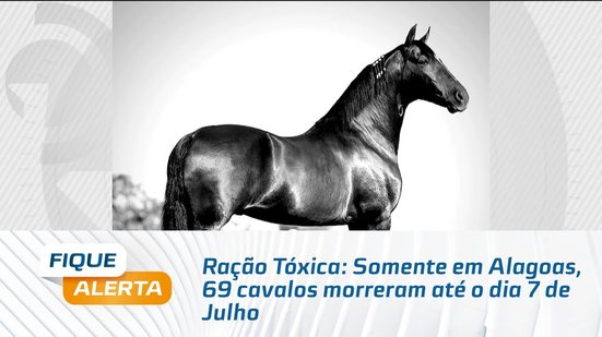 Ração Tóxica: Somente em Alagoas, 69 cavalos morreram até o dia 7 de Julho