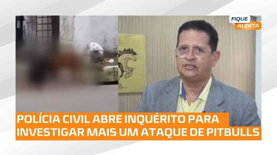 Flagrante: Cachorros da raça Pitbull atacam e matam gato no meio da rua, no Salvador Lyra