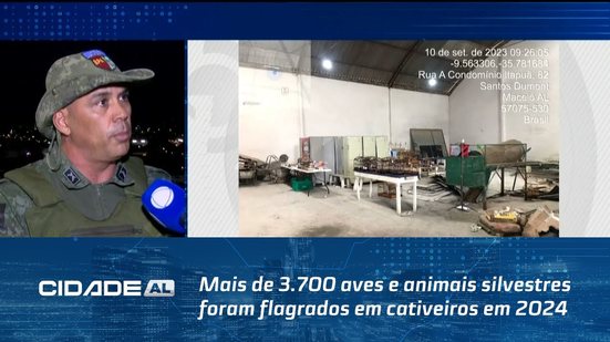 Mais de 3.700 aves e animais silvestres foram flagrados em cativeiros em 2024