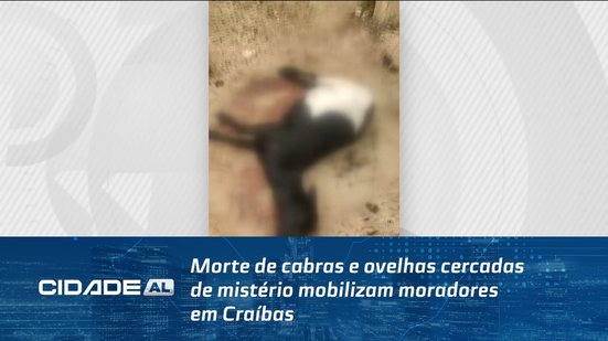 Morte de cabras e ovelhas cercadas de mistério mobilizam moradores em Craíbas