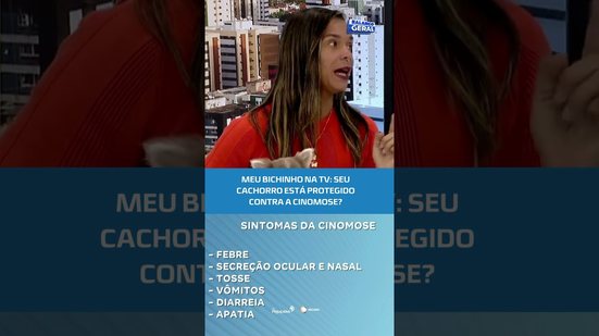 Meu Bichinho na TV: Cinomose, saiba como prevenir essa doença grave em cachorros #BalançoGeralAL