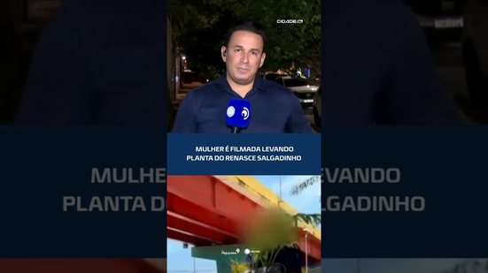 FLAGRANTE: senhora pega planta do Renasce Salgadinho #CidadeAL