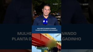 FLAGRANTE: senhora pega planta do Renasce Salgadinho #CidadeAL