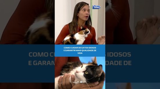 Gatos idosos: Entenda como garantir bem-estar para eles #BalançoGeralAL