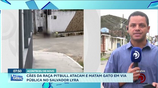Aconteceu de Novo: Cães da raça pitbull atacam e matam gato em via pública no Salvador Lyra