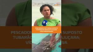 #FiqueAlerta | 🌊 Vídeo mostra pescadores rebocando suposto tubarão até a praia de Pajuçara