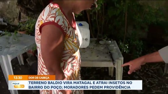 Terreno baldio vira Matagal e atrai insetos no bairro do poço; moradores pedem providência