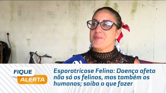 Esporotricose Felina: Doença afeta não só os felinos, mas também os humanos; saiba o que fazer