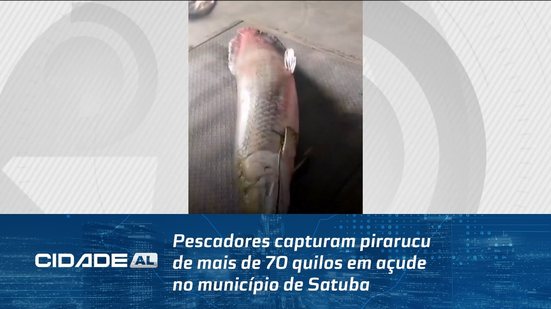 Pescadores capturam pirarucu de mais de 70 quilos em açude no município de Satuba