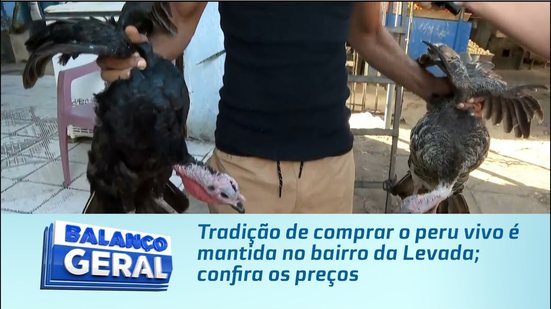 Tradição de comprar o peru vivo é mantida no bairro da Levada; confira os preços