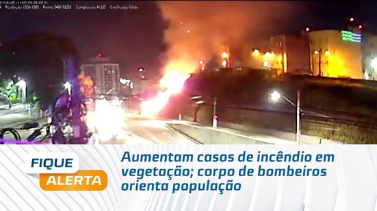 Aumentam casos de incêndio em vegetação; corpo de bombeiros orienta população