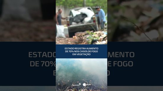 Casos de fogo em vegetação aumentam 70% em todo o estado em 2025 #CidadeAL
