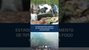 Casos de fogo em vegetação aumentam 70% em todo o estado em 2025 #CidadeAL