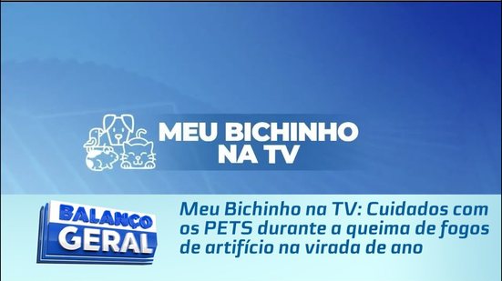 Meu Bichinho na TV: Cuidados com os PETS durante a queima de fogos de artifício na virada de ano
