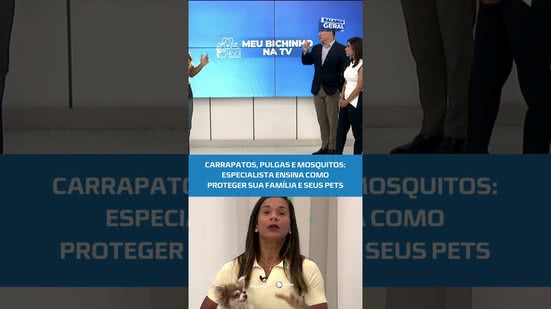 #BalançoGeralAL | Doenças transmitidas por carrapatos, pulgas e mosquitos podem ser evitadas