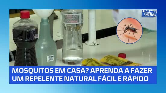 Dicas do BG: aprenda uma receita natural para ajudar a afastar mosquitos