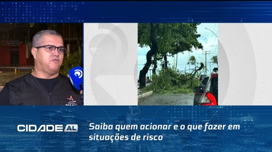 Quedas de árvores: saiba quem acionar e o que fazer em situações de risco