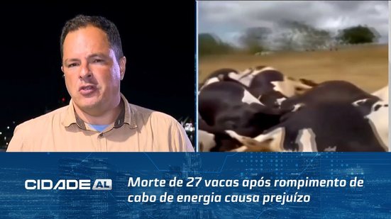 Morte de 27 vacas após rompimento de cabo de energia causa prejuízo de R$ 300 mil no sertão