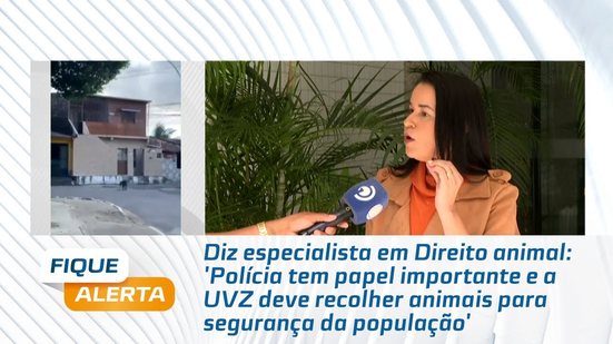 'Polícia tem papel importante e a UVZ deve recolher animais para segurança da população'
