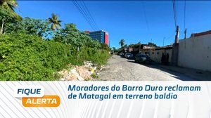 Moradores do Barro Duro reclamam de Matagal em terreno baldio