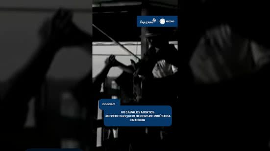🐴 Morte de 80 cavalos: Ministério Público pede bloqueio de bens de indústria | #CidadeAL