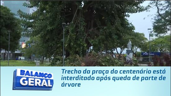 Trecho da praça do centenário está interditado após queda de parte de árvore