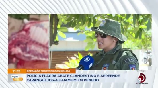Polícia flagra abate clandestino e apreende caranguejos-guaiamum em Penedo