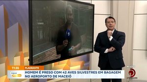 Homem é preso com 42 aves silvestres em bagagem no aeroporto de Maceió