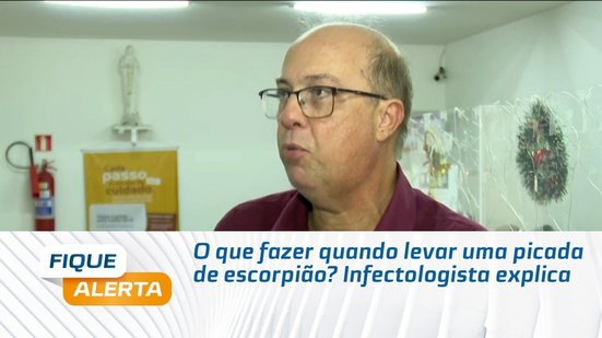 O que fazer quando levar uma picada de escorpião? Infectologista explica