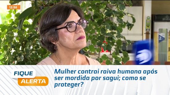 Mulher contrai raiva humana após ser mordida por sagui; como se proteger?