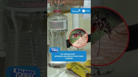 🦟 Mosquitos em casa? Aprenda uma receita natural simples para afastá-los #BalançoGeralAL