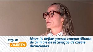 Nova lei define guarda compartilhada de animais de estimação de casais divorciados