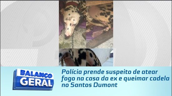 Polícia prende suspeito de atear fogo na casa da ex e queimar cadela no Santos Dumont