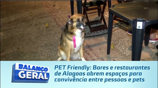 PET Friendly: Bares e restaurantes de Alagoas abrem espaços para convivência entre pessoas e pets