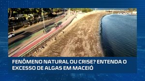 Barraqueiros denunciam: Algas afugentam turistas da orla de Maceió, confira no #CidadeAL