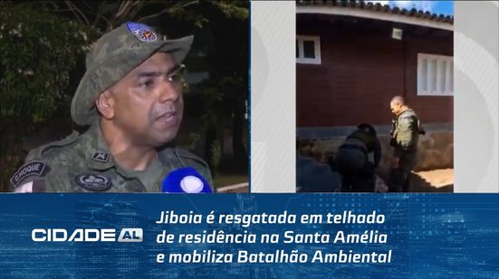 Jiboia é resgatada em telhado de residência na Santa Amélia e mobiliza Batalhão Ambiental