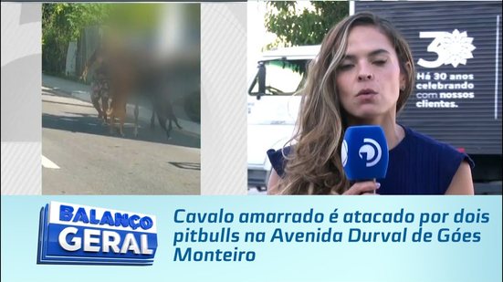 Cavalo amarrado é atacado por dois pitbulls na Avenida Durval de Góes Monteiro