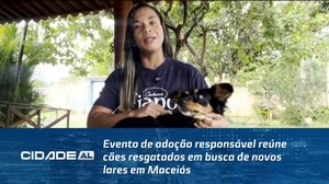 Evento de adoção responsável reúne cães resgatados em busca de novos lares em Maceió