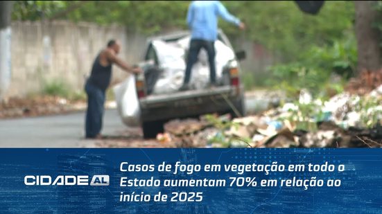 Casos de fogo em vegetação em todo o Estado aumentam 70%em relação ao início de 2025