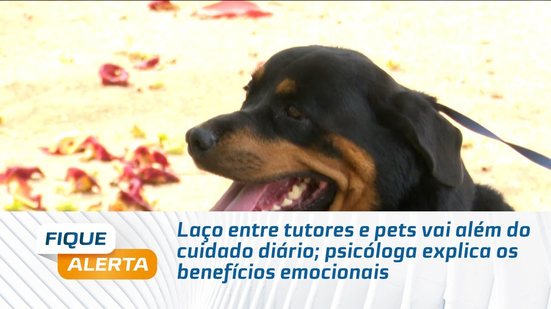 Laço entre tutores e pets vai além do cuidado diário; psicóloga explica os benefícios emocionais
