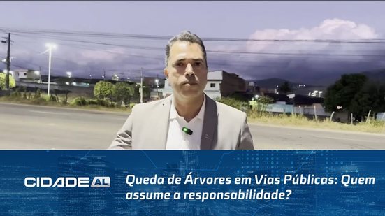 Queda de Árvores em Vias Públicas: Quem assume a responsabilidade?